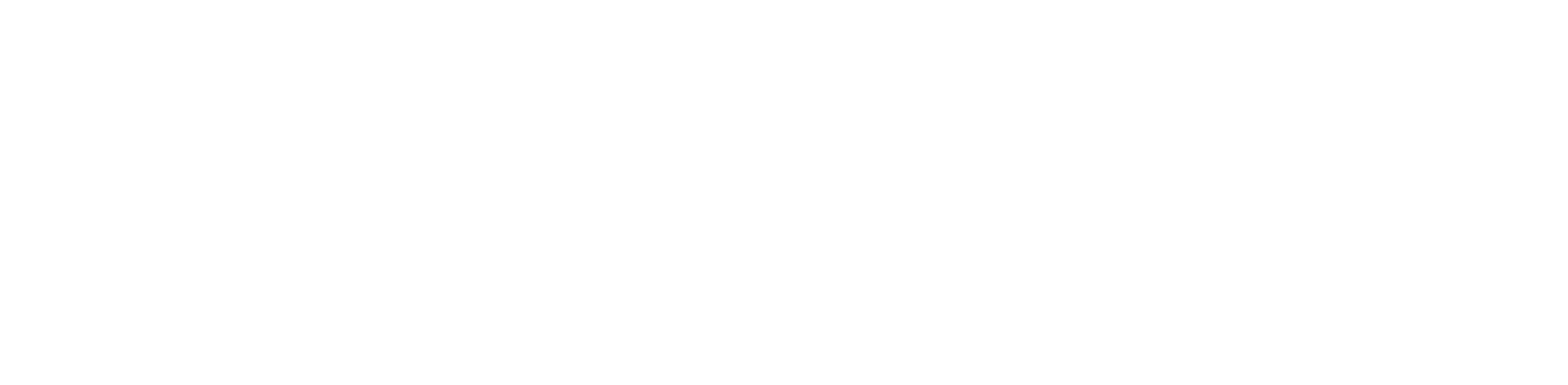 LiConInt Logo